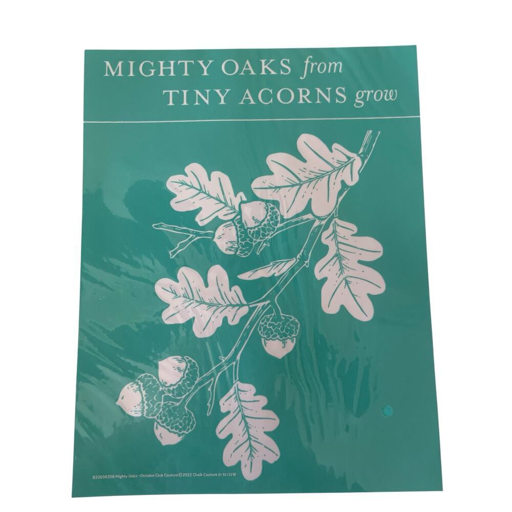 NWT Chalk Couture 8.5 x 11‎ Reusable Transfer